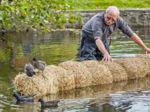 Adding a barley boom to the rec pond.